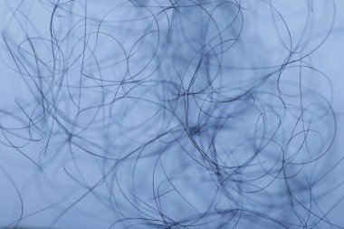 Ayışığı tarafından aydınlatılan Makro Saç Çekimi