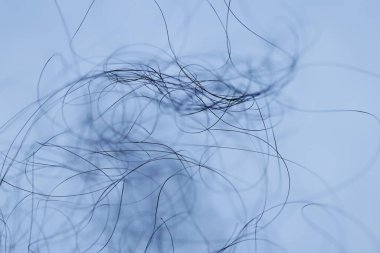 Ayışığı tarafından aydınlatılan Makro Saç Çekimi