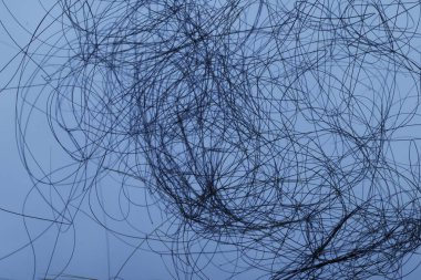 Ayışığı tarafından aydınlatılan Makro Saç Çekimi