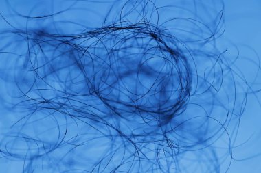 Ayışığı tarafından aydınlatılan Makro Saç Çekimi