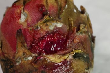 Stüdyo Işığında Hasarlı Ejder Meyvesi