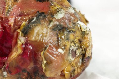 Stüdyo Işığında Hasarlı Ejder Meyvesi