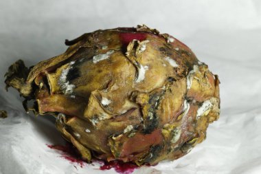 Stüdyo Işığında Hasarlı Ejder Meyvesi