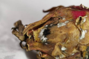 Stüdyo Işığında Hasarlı Ejder Meyvesi