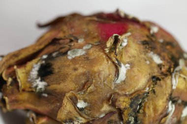 Stüdyo Işığında Hasarlı Ejder Meyvesi