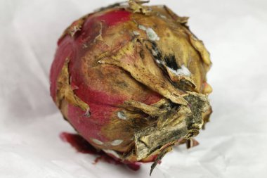 Stüdyo Işığında Hasarlı Ejder Meyvesi