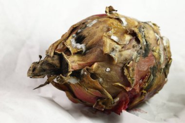 Stüdyo Işığında Hasarlı Ejder Meyvesi