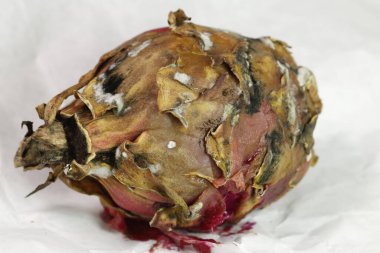 Stüdyo Işığında Hasarlı Ejder Meyvesi