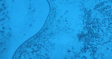 Mavi Cam Yüzeyde Canlı Yağ Baloncukları