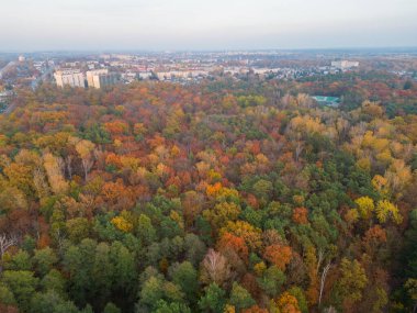Pabianice 'deki Sonbahar Parkı - Polonya