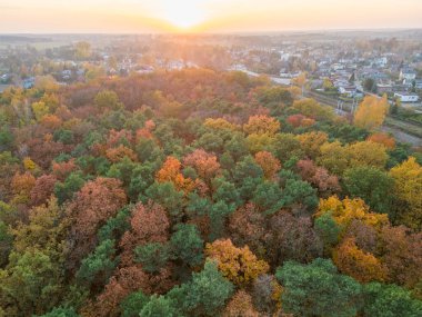 Pabianice 'deki Sonbahar Parkı - Polonya