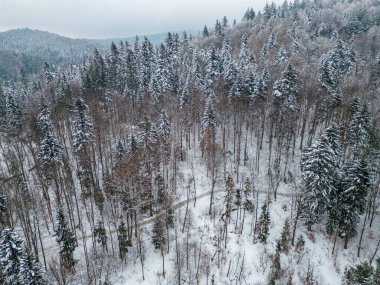 Winter view at a Beskid Sadecki Mountains from a drone