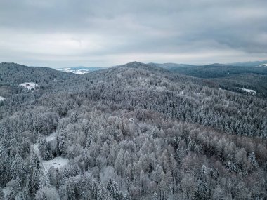 Winter view at a Beskid Sadecki Mountains from a drone