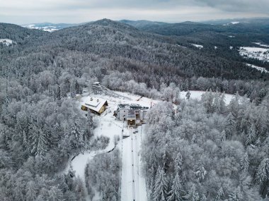 Aerial view of Krynica Zdroj City and Park Mountain from a drone