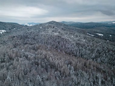 Winter view at a Beskid Sadecki Mountains from a drone