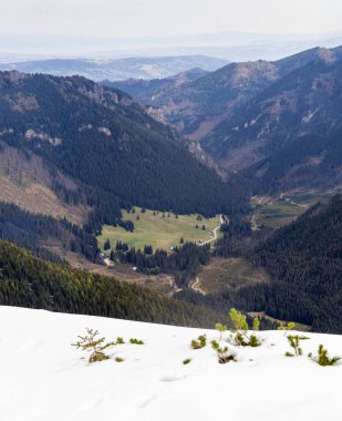 Batı Tatras 'taki Chocholowska Vadisi - Polonya