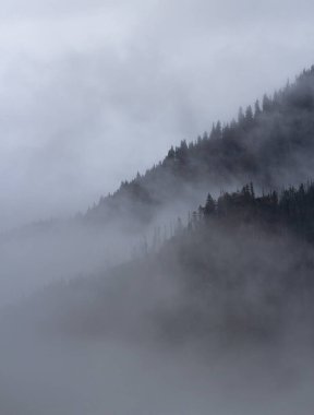 Chocholowska Vadisindeki Puslu Dağlar - Tatras Dağları - Polonya