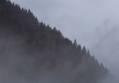 Chocholowska Vadisindeki Puslu Dağlar - Tatras Dağları - Polonya