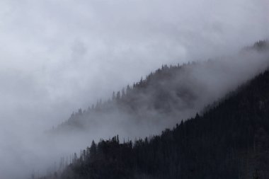 Chocholowska Vadisindeki Puslu Dağlar - Tatras Dağları - Polonya