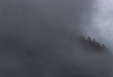 Chocholowska Vadisindeki Puslu Dağlar - Tatras Dağları - Polonya