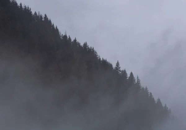 Mlhavé Hory Chocholowské Dolině Tatry Polsko — Stock fotografie