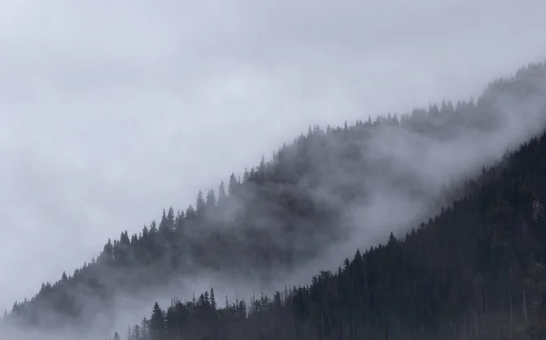 Mlhavé Hory Chocholowské Dolině Tatry Polsko — Stock fotografie
