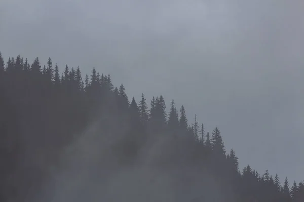 Туманные Горы Хохловской Возвышенности Татры Польша — стоковое фото