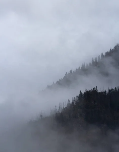 Туманные Горы Хохловской Возвышенности Татры Польша — стоковое фото