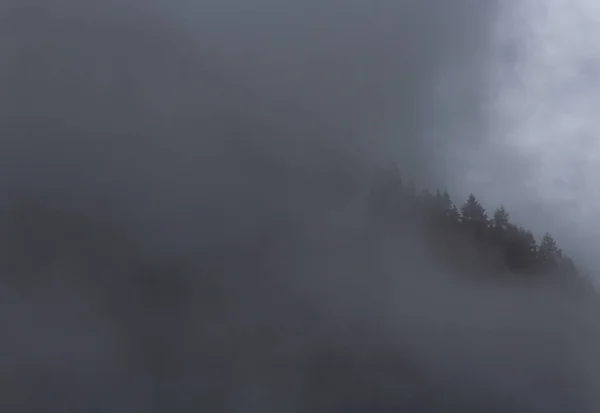 チョロフスカ渓谷の霧の山 タトラ山脈 ポーランド — ストック写真