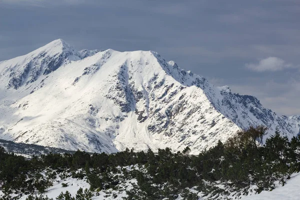 Les Montagnes Tatra Hiver — Photo