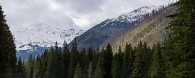 Sonbaharın sonu ve kışın başlangıcı Tatra Dağları - Rakon ve Wolowiec Dağları