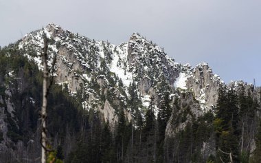 Batı Tatras 'taki Chocholowska Vadisi - Polonya