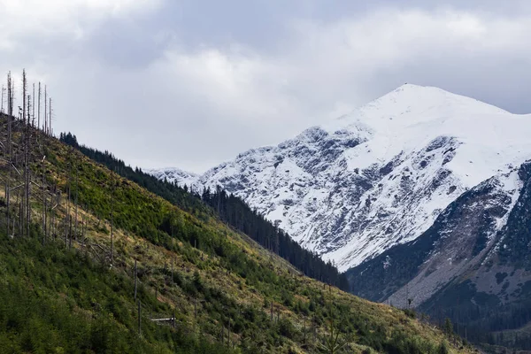 Late Herfst Begin Van Winter Tatra Gebergte Rakon Wolowiec Bergen — Stockfoto