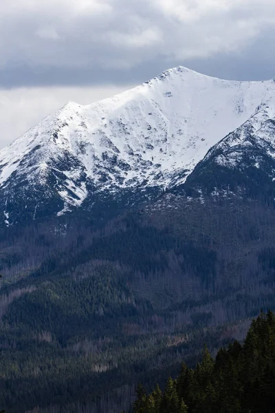 Inverno Montanhas Tatra — Fotografia de Stock