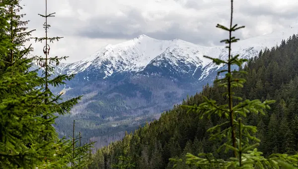 Las Montañas Del Invierno Tatra —  Fotos de Stock
