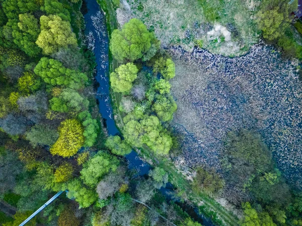 Vista Floresta Rio Drone — Fotografia de Stock