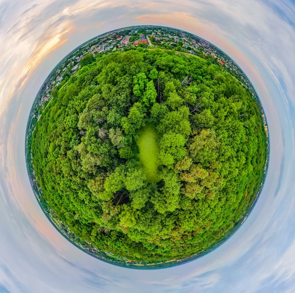 Uma Lagoa Parque Cercado Por Vegetação Pabianice — Fotografia de Stock