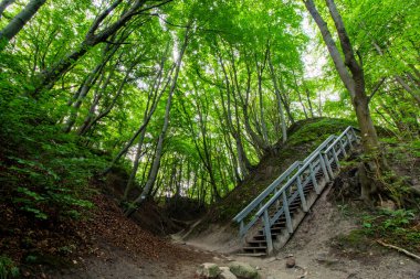 Lisi Jar Valley - Jastrzebia Gora - Baltık Denizi