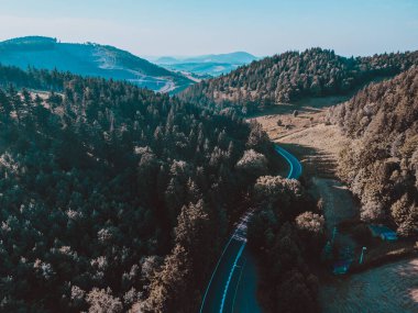 Polonya 'daki Taş Dağları (Kamienne Gory)