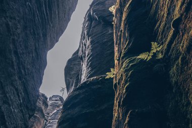 Çek Cumhuriyeti 'nin Adrspach Kayalık Kasabası