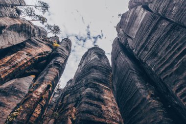 Çek Cumhuriyeti 'nin Adrspach Kayalık Kasabası