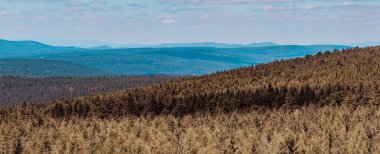 Jagodna Dağı - Bystrzyckie Dağları - Sudetes Dağları - Polonya