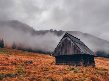Sonbaharda Chocholowska Vadisi - Tatra Dağları