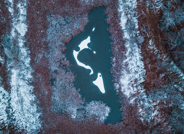 Winter top down view from a drone on pond and forest