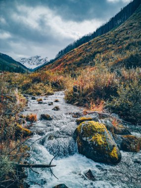 Sonbaharda Chocholowska Vadisi - Tatra Dağları