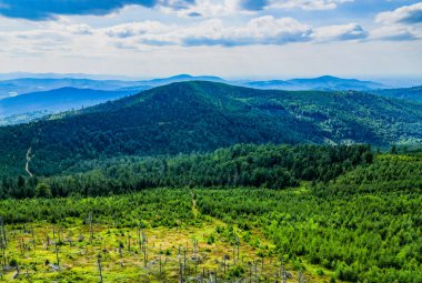Malinowska kayası boyunca Skrzyczne dağına giden yol - Silesian Beskids - Szczyrk, Wisla - Polonya