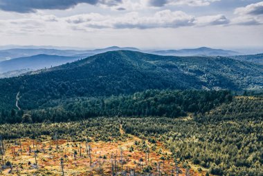 Malinowska kayası boyunca Skrzyczne dağına giden yol - Silesian Beskids - Szczyrk, Wisla - Polonya