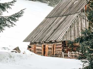 Kışın Polonya 'da Shepherd' ın kulübesi Tatras 'ta.