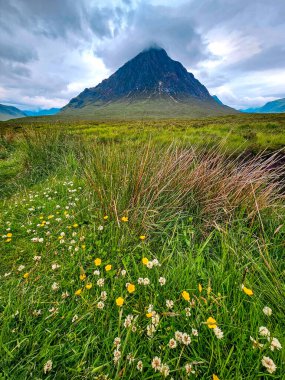 Buachaille Etive Mor - Glen Coe Vadisi - İskoçya