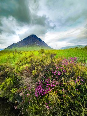 Buachaille Etive Mor - Glen Coe Vadisi - İskoçya